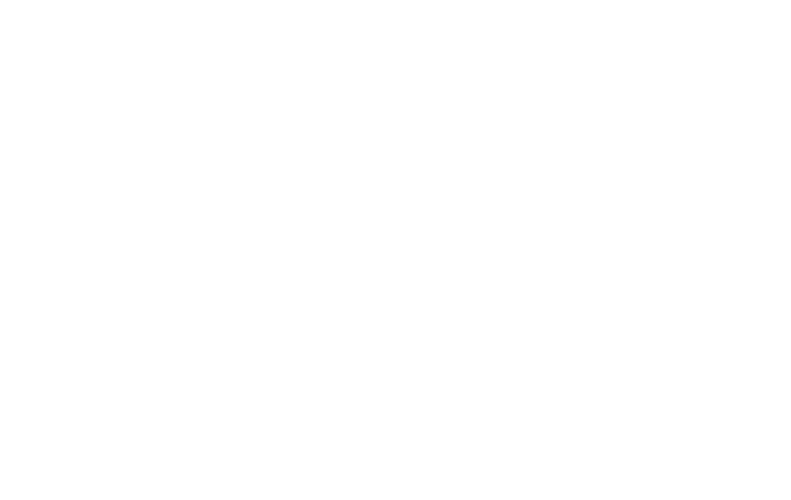 Schneider